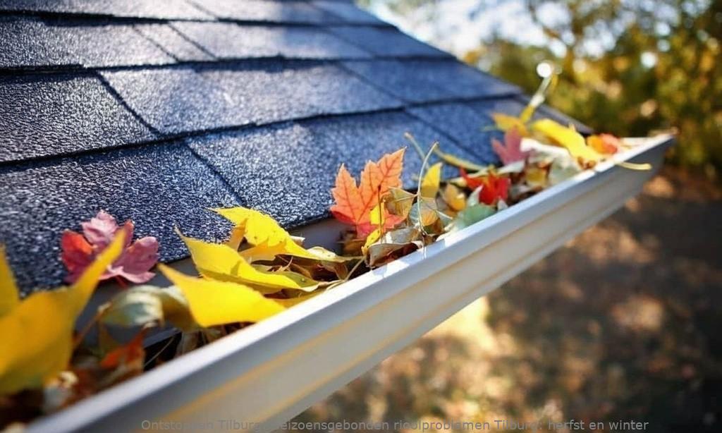 Seizoensgebonden rioolproblemen Tilburg: herfst en winter